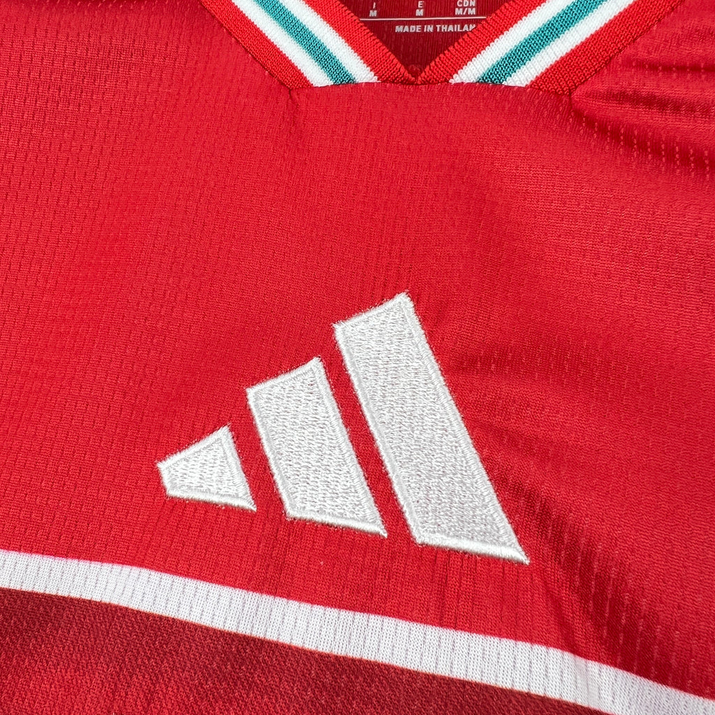 Wales World Cup 2026 Jersey