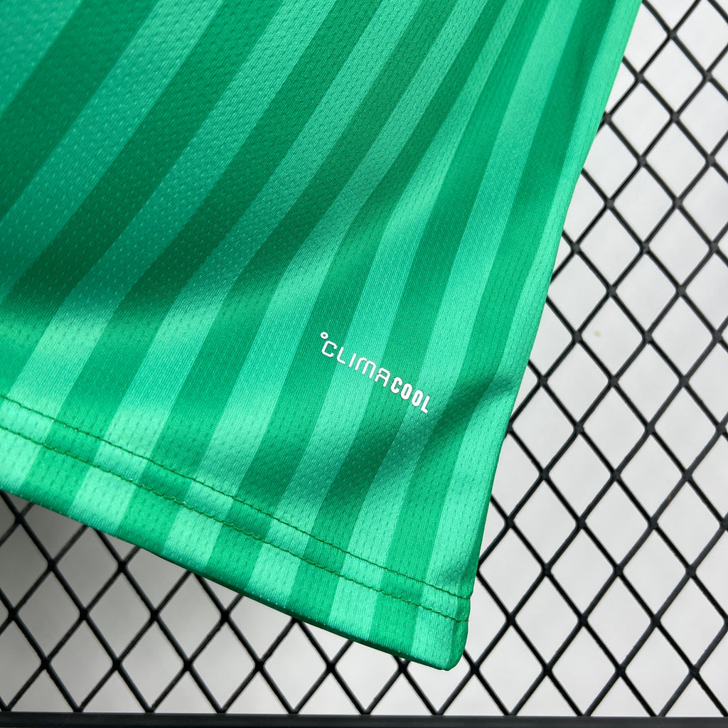 Algeria Away Jersey World Cup 2026