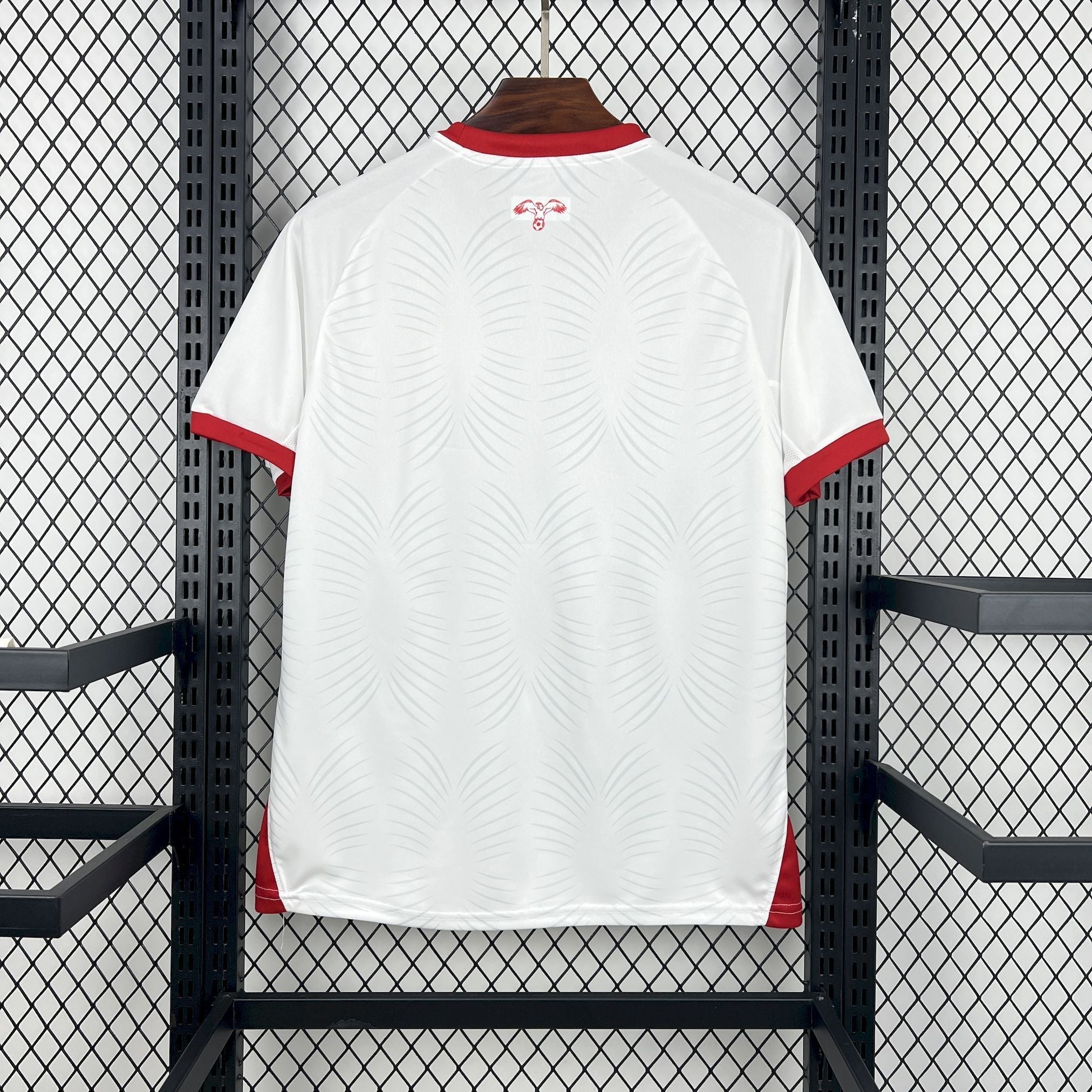Jordan World Cup 2025-26 Jersey