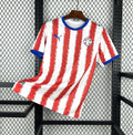 Paraguay World Cup 2026 Jersey
