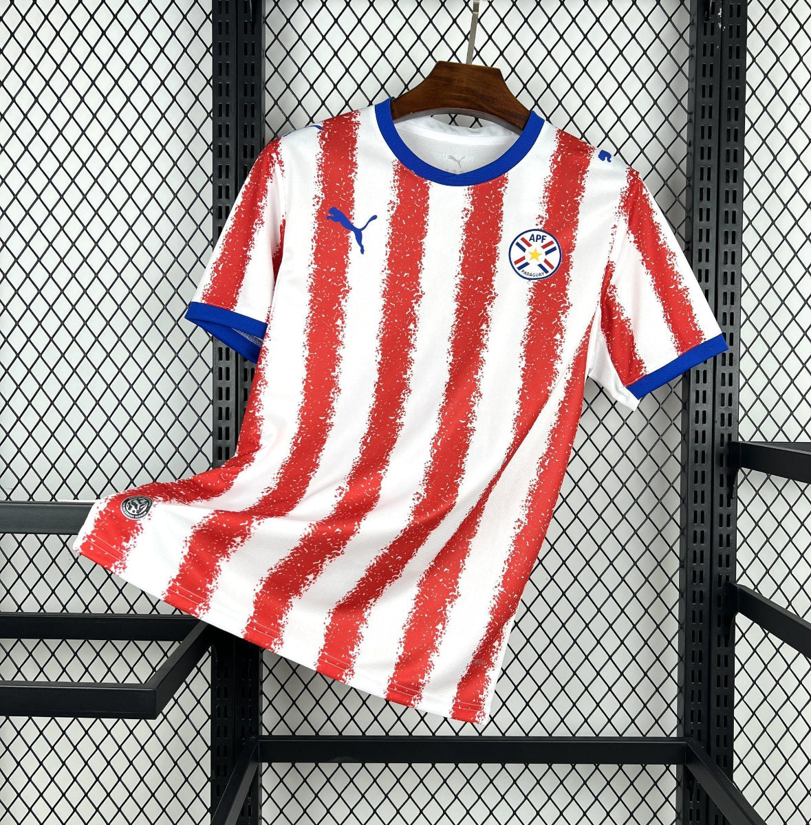 Paraguay World Cup 2026 Jersey
