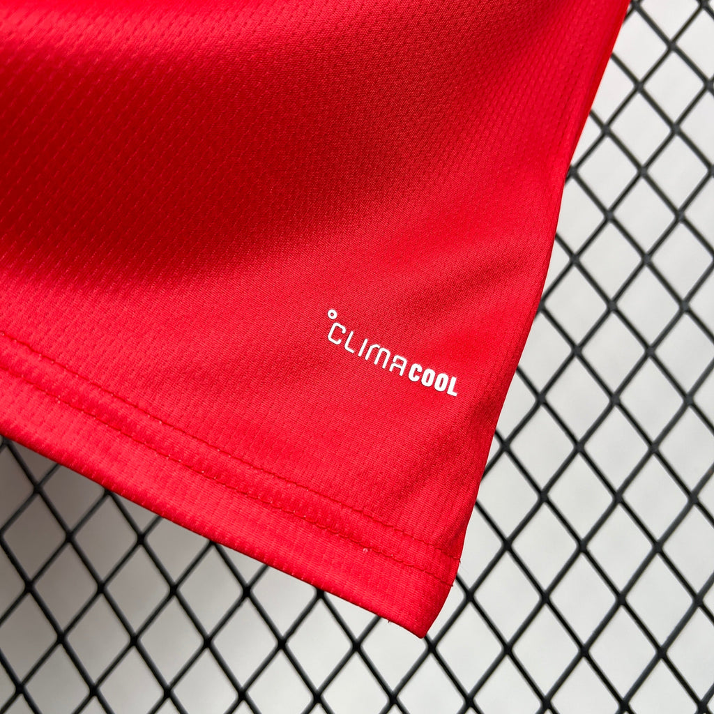 Wales World Cup 2026 Jersey
